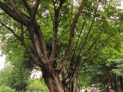 -眉山湿地公园(东坡区)