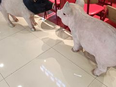 -猪角·闽南猪脚饭(上梅林店)