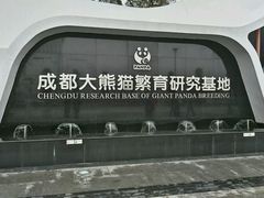 -成都大熊猫繁育研究基地
