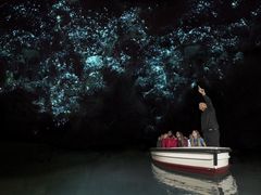 -怀托摩萤火虫洞