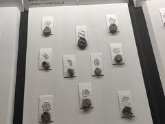 -古陶文明博物馆