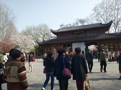-堤角公园