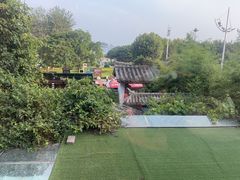 -慢丽江·云南野生菌土鸡锅(付家庄店)
