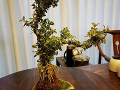 -龙宴海鲜城(经中路店)