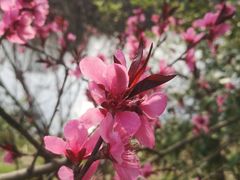 -贵阳市花溪国家城市湿地公园