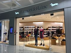 -米兰马尔彭萨国际机场