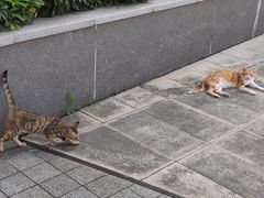 -广州市白云区图书馆