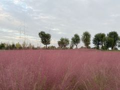 -汉长安城未央宫国家考古遗址公园