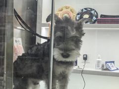 -它主义宠物(梁溪万达店)