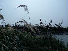 -南翔镇银翔湖公园
