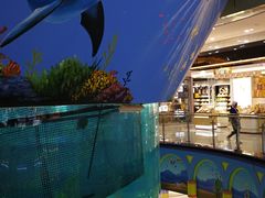 -鸿通城购物中心