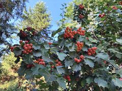 -张掖大佛寺景区