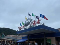 -南纪白浜Toretore市场