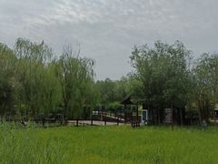 -西青郊野公园