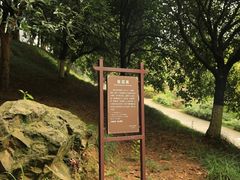 -重庆抗战遗址博物馆