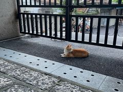 -鼓浪屿·八卦楼
