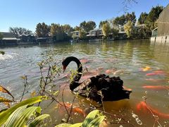 -春晖园度假酒店温泉