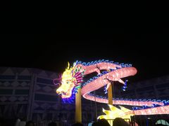 -锦江乐园舞狸花花游园会(夜场专享)