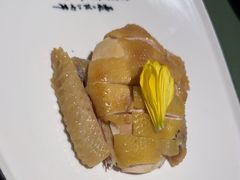 -老吉堂上海本帮菜(望京万象汇店)