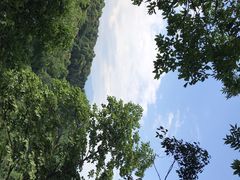 -凤栖山