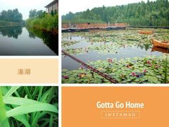 android_upload_pic-溱湖国家湿地公园