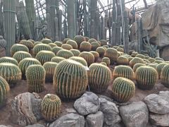 -南山植物园