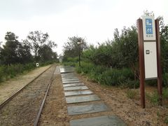 DSC08524-永定河休闲森林公园