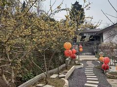 -桃源山庄·水蜜桃采摘·柴火鸡·烧烤团建(龙泉山店)