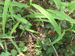 -太湖湾开元名庭大酒店