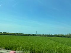 -太阳岛旅游度假区