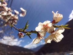 -叠溪松坪沟景区