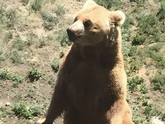 -新疆天山野生动物园