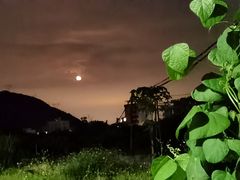 -广州市帽峰山景区