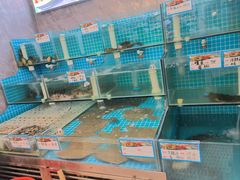-清真马家馆(振兴街店)