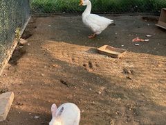 -潭柘厚院(桑峪村店)