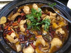 -蔼若春.传承三十年云南菜(金碧公园店)