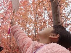 -辽宁大学(崇山校区)