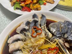 -煲来饱去冷水鱼