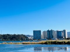 -洱海月湿地公园