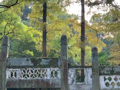 -白鹿洞书院