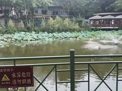 -刘家花园·柴火鸡·中餐酒楼·西昌烧烤(三圣乡店)