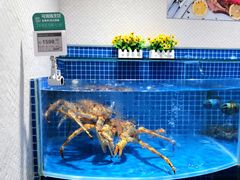 帝王蟹-七鲜超市(通州ONE店)