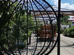 -樂桃源奉贤黄桃种植采摘基地
