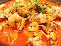 -付掌柜在成都·热炒砂锅集(金禾店)
