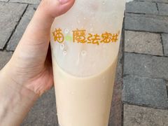 -猫的魔法密林(衣裳街店)