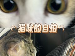 -瑞派新吉太郎宠物医院·重症转诊中心·泌尿道(嘉禾望岗院)