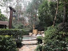 -天目湖涵田半山温泉