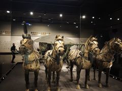 -秦始皇帝陵博物院-丽山园