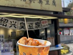 -绍兴鲁迅故里·沈园景区