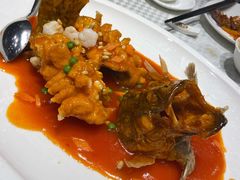 -望乡楼上海菜(日月光店)